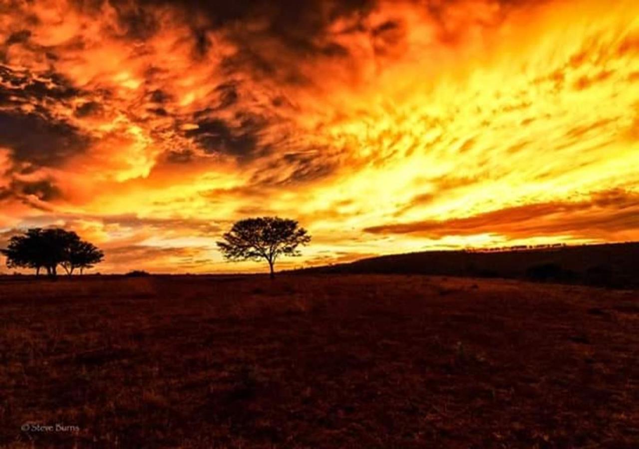 The Ranch House At African Safari Lodge Grahamstown Exteriér fotografie